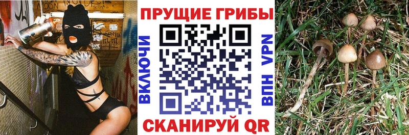 Галлюциногенные грибы GOLDEN TEACHER  Кодинск 